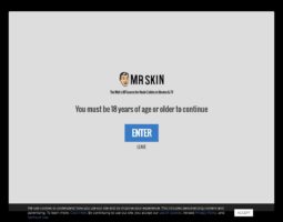 Mr Skin